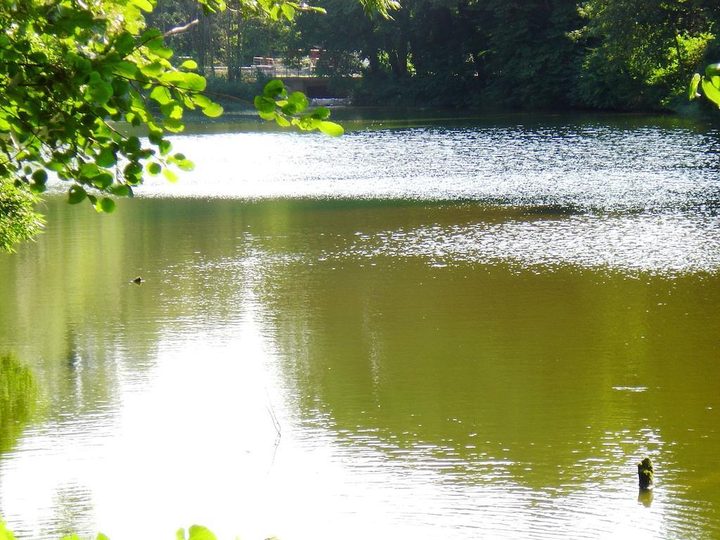 Carmina Am See Karnin  Екстериор снимка