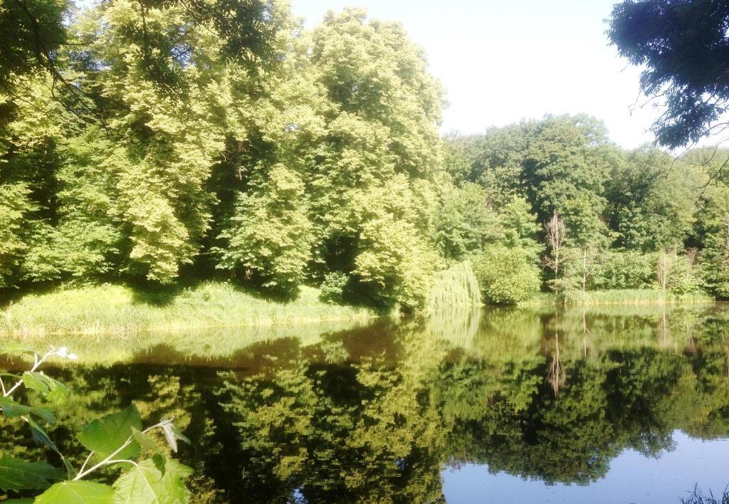 Carmina Am See Karnin  Екстериор снимка