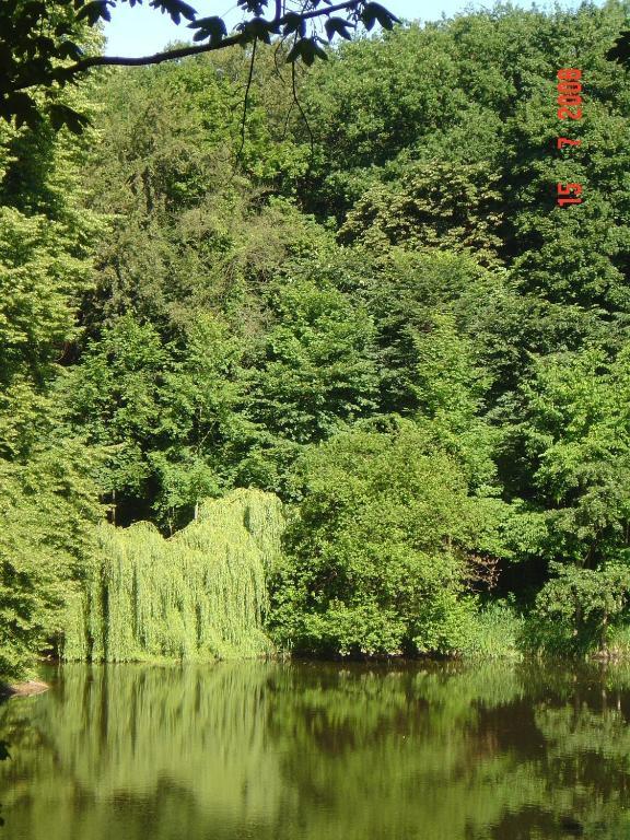 Carmina Am See Karnin  Екстериор снимка
